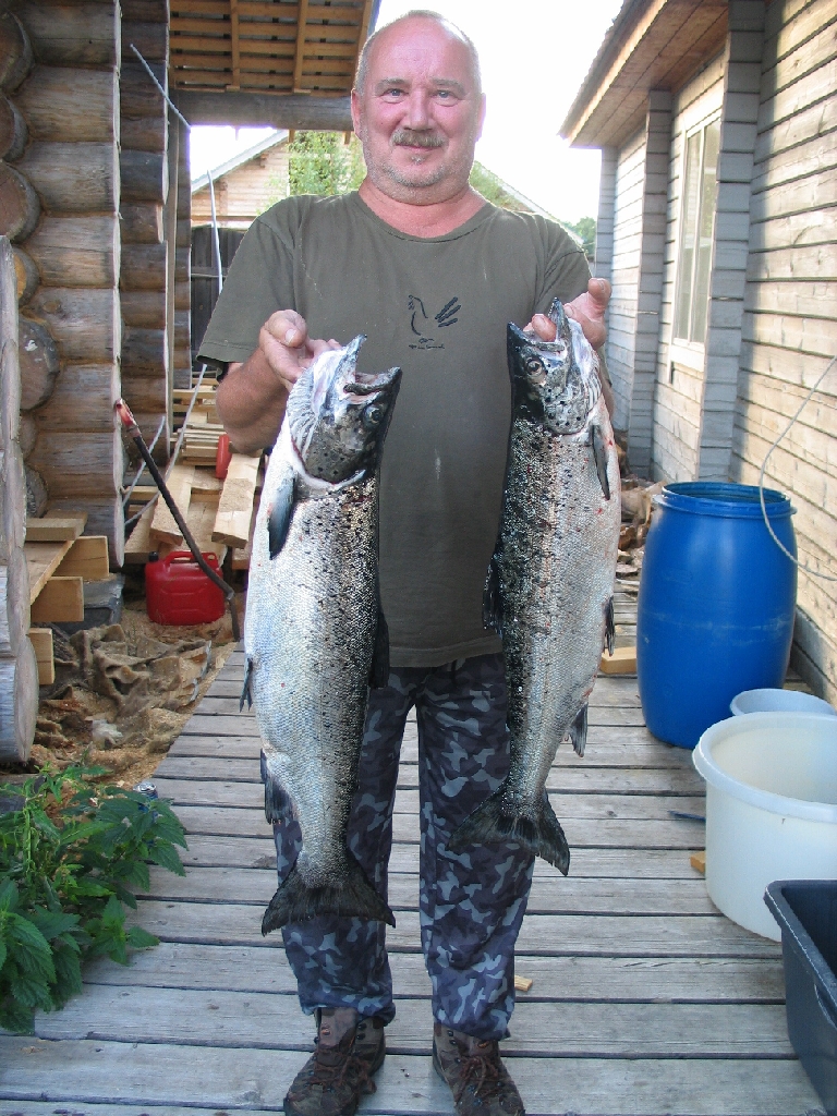 Hannu Nousiainen.jpg