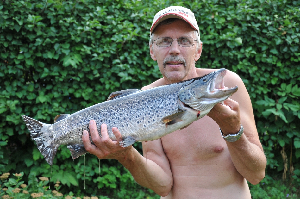 Erkki 043.JPG - Erkki Korhonen ja järvitaimen