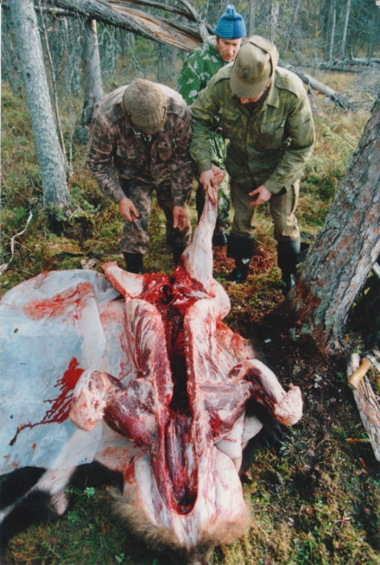 Karhu nylettävänä.jpg